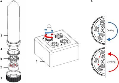 TissueGrinder, a novel technology for rapid generation of patient-derived single cell suspensions from solid tumors by mechanical tissue dissociation